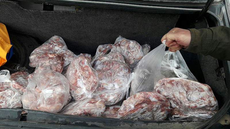 کشف ۲ تن گوشت فاسد در جنوب تهران