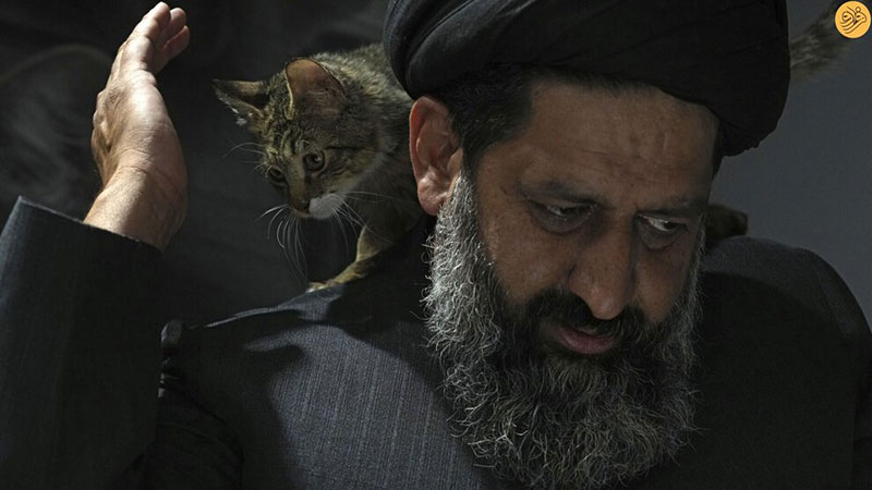 این روحانی از سگ‌های خیابانی در قم پرستاری می‌کند 