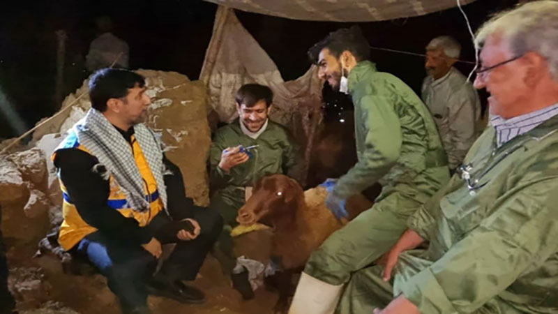 400 هزار خدمت در مناطق عشایری استان فارس در رزمایش تخصصی دامپزشکی
