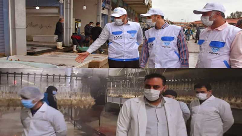 در بازدیدی سرزده صورت گرفت: بازدید از دو استان مازندران و گیلان توسط مشاور معاون وزیر و مدیریت روابط عمومی سازمان دامپزشکی کشور