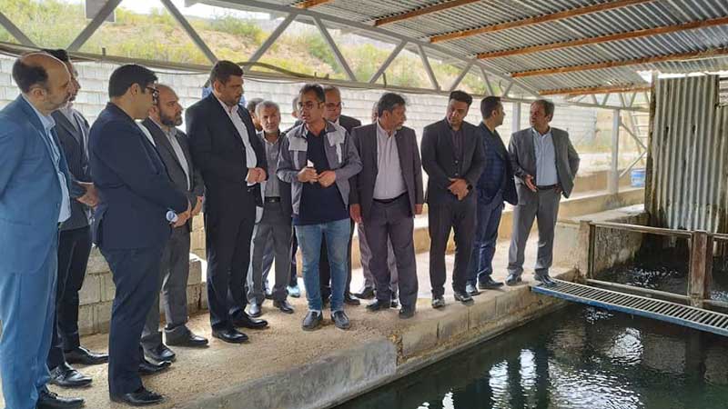 حامد زارعی نظام دامپزشکی