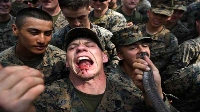  خون مار و مارمولک بخورید تا زنده بمانید /تصاویر وحشتناک از سربازان آمریکایی