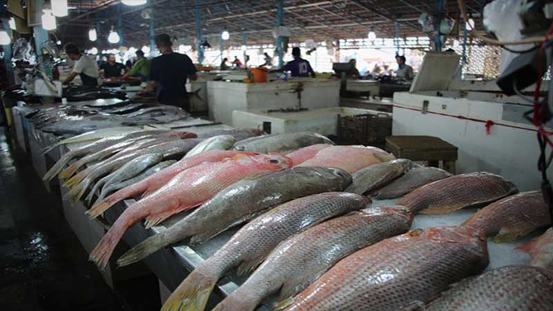 ماهی فروش متخلف بانه‌ای به خرید محصول سالم محکوم شد