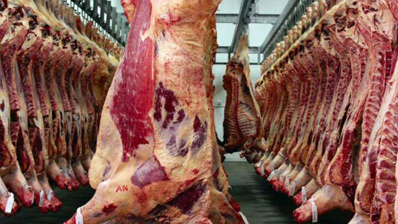 ممنوعیت قطعه بندی انواع گوشت در قزوین