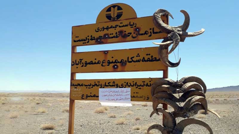 حفاظتگاه مردمی یا کشتارگاه خصوصی؟ / آویختن ۱۲ شاخ به تابلوی قرق منصورآباد
