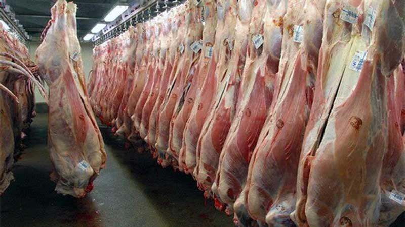 گوشت گرم گوسفند از استرالیا وارد کشور شد / واردات از استرالیا و رومانی ادامه خواهد داشت