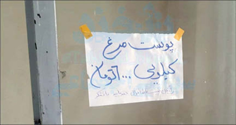 خانواده‌های کم درآمدی که از سر ناچاری «پوست مرغ» می‌خورند!