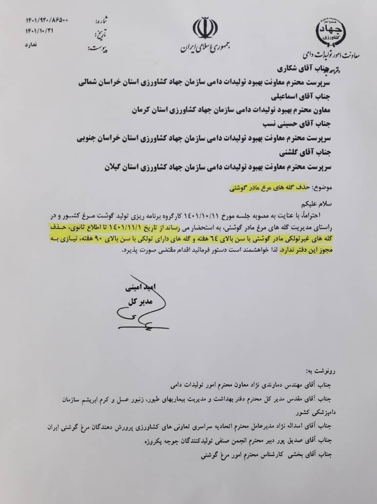 اجازه وزارت جهاد کشاورزی به مرغداران برای حذف گله‌های مرغ مادر گوشتی بالای ۶۴ هفته 