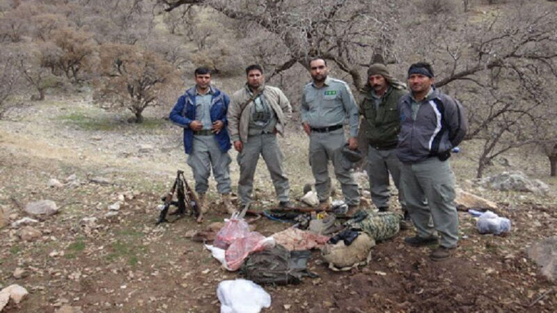 شکارچیان حیوانات وحشی در الموت قزوین دستگیر شدند