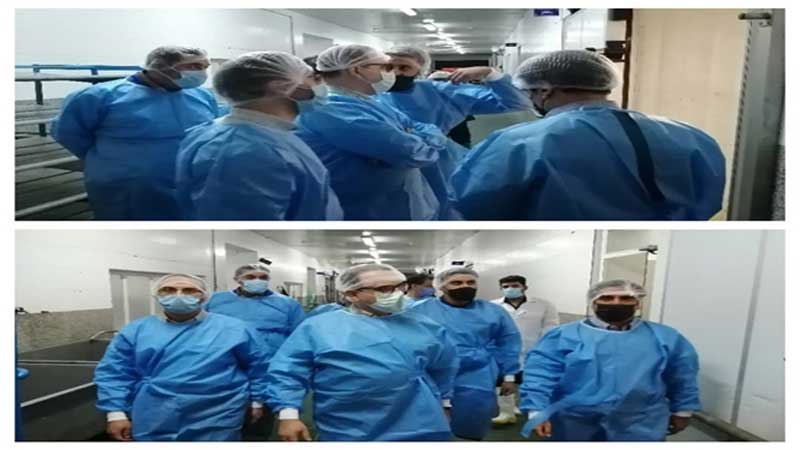 بازدید معاون بهداشتی و پیشگیری سازمان دامپزشکی کشور از کشتارگاه صنعتی طیور در یزد