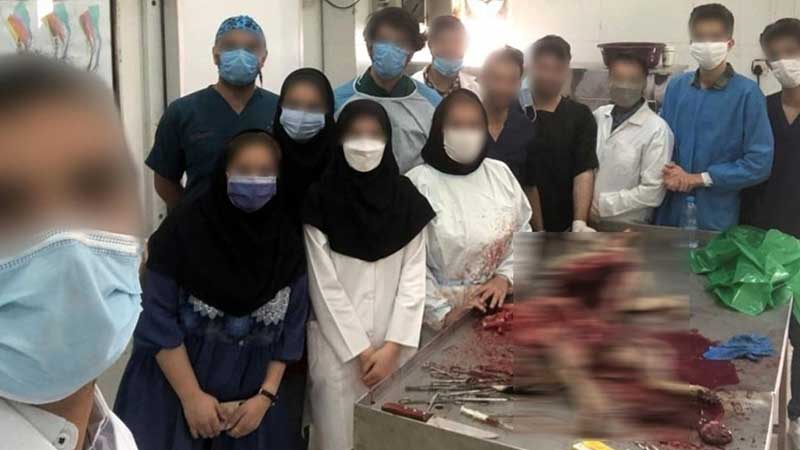 سگی که در کلاس تشریح دانشگاه شوشتر زجرکش شد؛ واکنش دانشگاه آزاد شوشتر نسبت به انتشار عکس استفاده از لاشه حیوانات