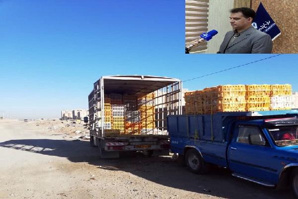 توقیف محموله مرغ تخمگذار فاقد مجوز‌