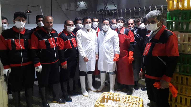 بازدید مسئولان دامپزشکی شهرستان از کشتارگاه‌ طیور نهاوند