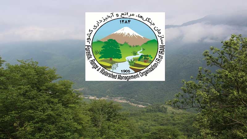 مجوز برقراری مجدد فوق‌العاده سختی شرایط کارکنان سازمان جنگل‌ها از سوی وزارت جهاد کشاورزی روی میز دولت قرار گرفت + پی نوشت فاخته