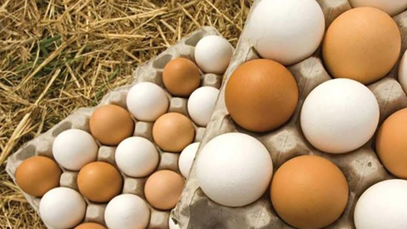 ۱۰ هزار تن تخم مرغ وارد می شود/ تعادل قیمت تا دو هفته دیگر
